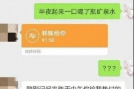 嘉鱼企业清欠服务