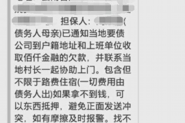 嘉鱼贷款清欠服务