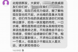 嘉鱼融资清欠服务